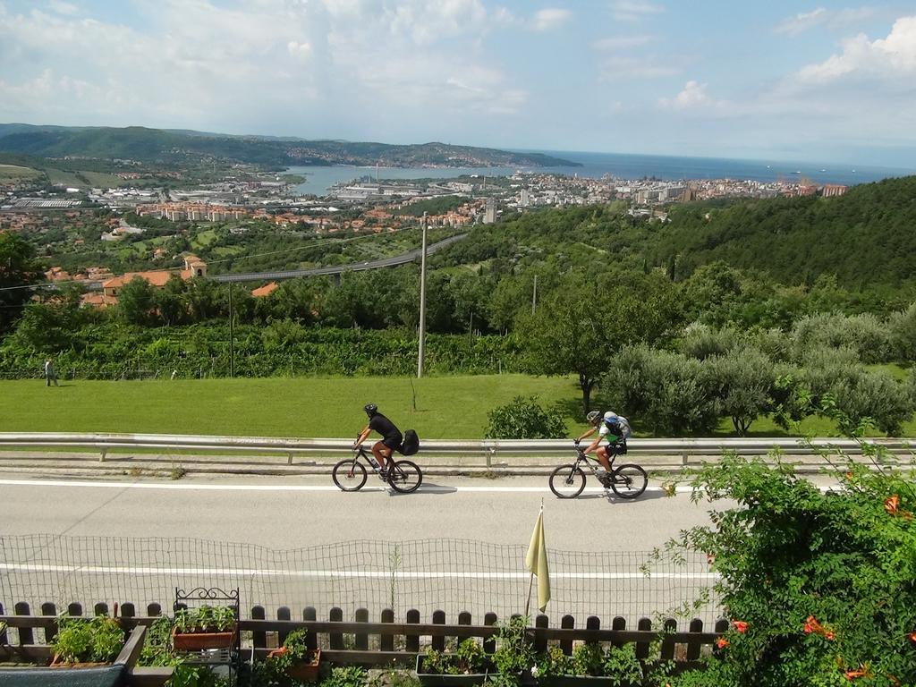 Bellavista Trieste San Dorligo della Valle Ngoại thất bức ảnh